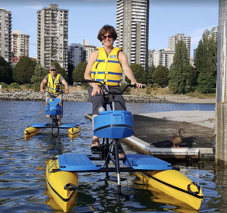 Vancouver: Water Bike Rental in False Creek - Wildlife watch in False Creek: seals, birds, and rare whales
