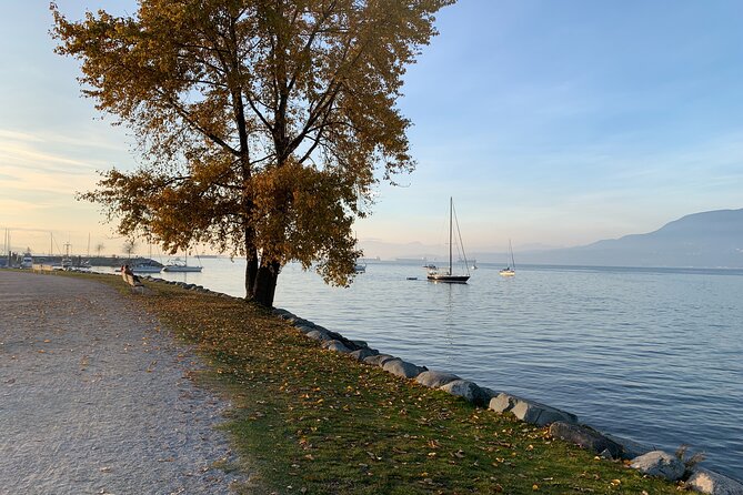 Vancouver Waterfront Guided Bike / Ebike Tour - Route Overview: Water Views, a Classic Loop, and the Way Toward UBC