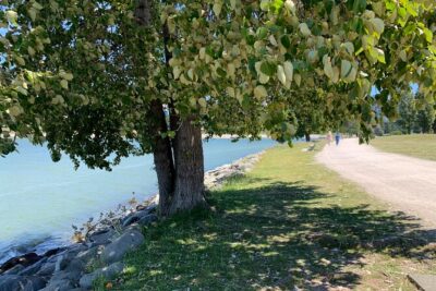 Vancouver Waterfront Guided Bike / Ebike Tour - What You Really Get: Private Guide, Pickup, and Easy Riding
