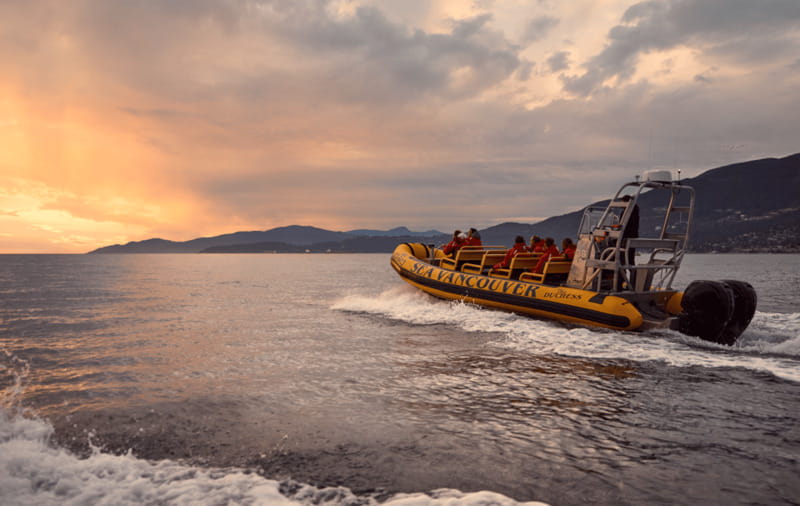 Vancouver: Waterfront Sightseeing Tour - City and Harbour - FAQ