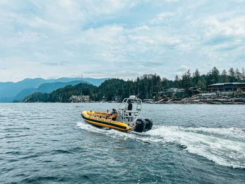 Vancouver: Waterfront Sightseeing Tour - City and Nature - Small group size (up to 12) and why it makes a difference