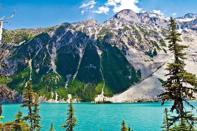 Vancouver: Whistler, Shannon Falls, Peak to Peak Gondola Day Tour - Price and Value: Where the $95 Really Lands