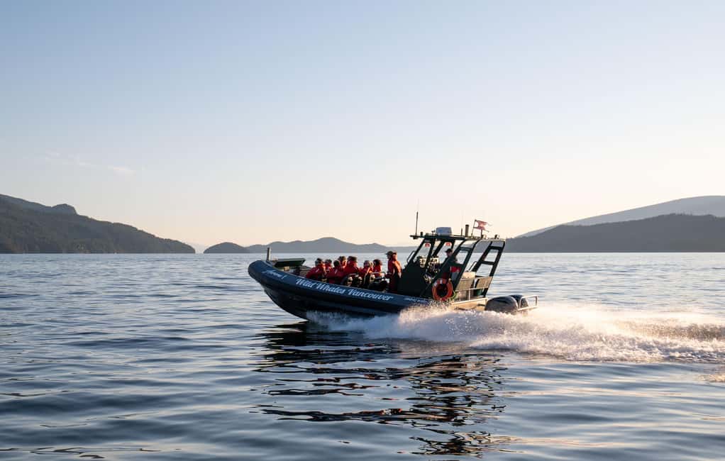 Vancouver: Zodiac Whale Watching Tour from Granville Island - Key Highlights That Make This Tour Worth Your Time
