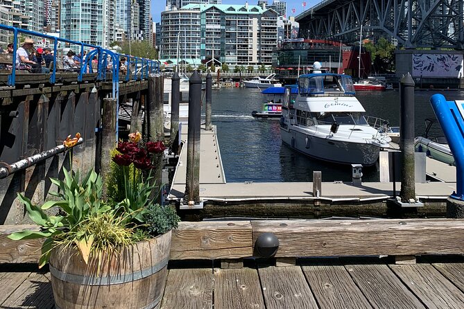 Vancouver's Finest Private Sightseeing Tour - Stanley Park Seawall time: old-growth forest with real ocean views