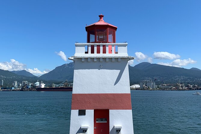 Vancouver's Finest Private Sightseeing Tour - Capilano Suspension Bridge Park: 7 spans, cedar air, and a 110-foot view