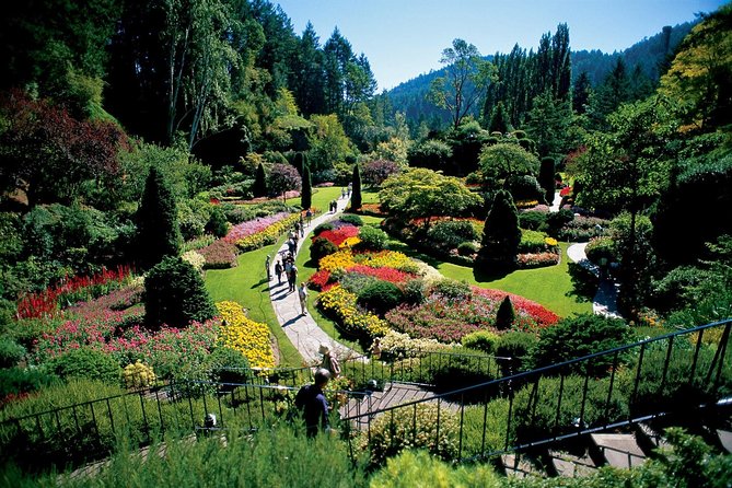 Victoria & Butchart Gardens Tour with Ferry from Vancouver - Vancouver to Victoria by BC Ferries: the best part is the ride