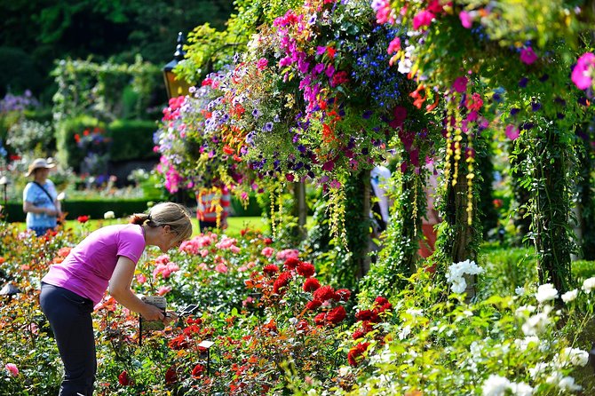 Victoria & Butchart Gardens Tour with Ferry from Vancouver - The guides and live commentary that make the schedule feel worth it