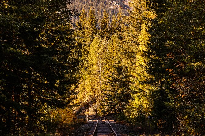 Waterfalls to Whistler Private Tour One Way - Shannon Falls Provincial Park: A Waterfall Stop That Doesn’t Eat Your Day