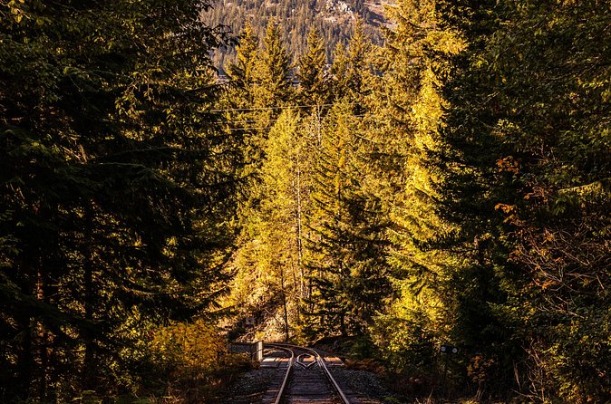 Waterfalls to Whistler Private Tour One Way - The Private Guide Difference: Calm Pace, Real Local Stories