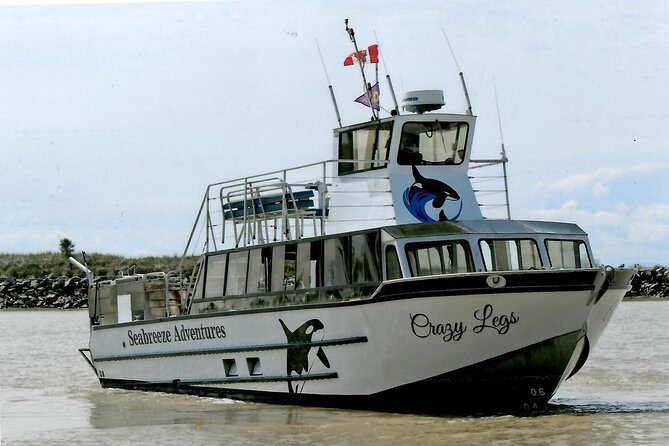Whale Watching Adventure from Vancouver BC - What’s included onboard (and why the snack matters)