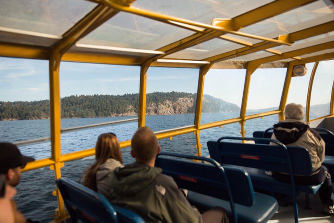 Whale-Watching Tour from Vancouver - Quick takeaways before you pick a whale watch