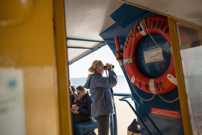 Whale-Watching Tour from Vancouver - The cruise pattern: how the captain and naturalist work your search