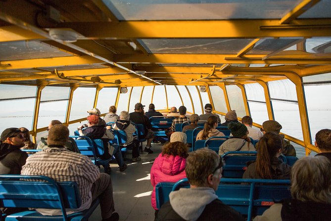 Whale-Watching Tour from Vancouver - Steveston time: what to do before or after your whale watch
