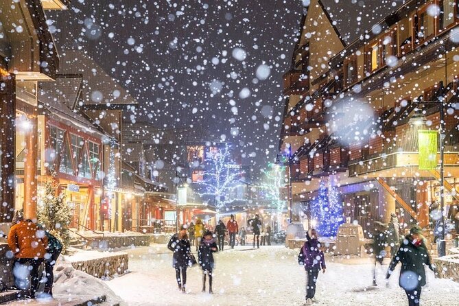 Whistler 1-Day Tour from Vancouver (Chn&Eng) - Shannon Falls Provincial Park: A Free Stop That’s Worth the Half Hour