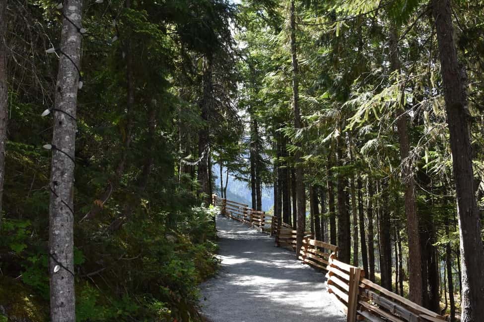Whistler, Sea to Sky Gondola, and Shannon Falls Day Trip - Where the guide shines: timing, humor, and local facts (names matter here)