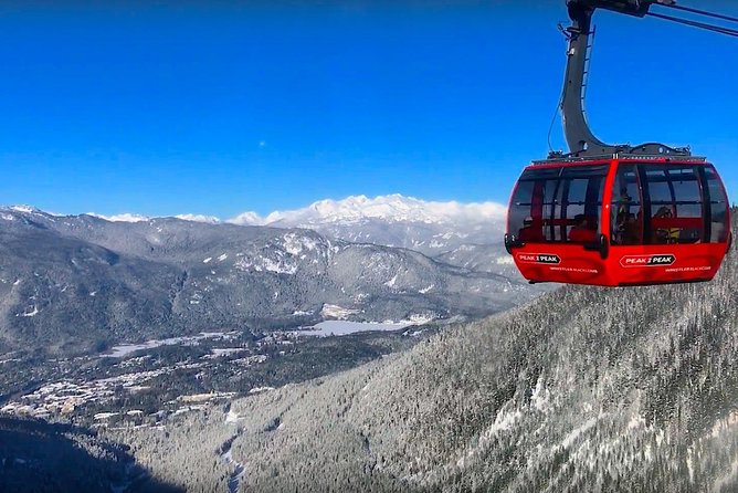 Whistler Sightseeing Tour from Vancouver: See Horseshoe Bay and Shannon Falls - Shannon Falls Provincial Park: short hike, big payoff, eagle-season bonus