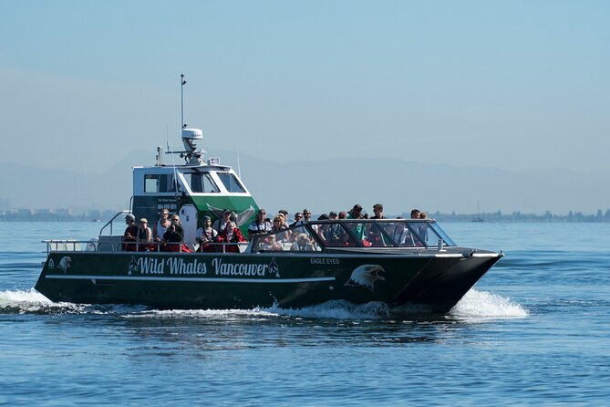 Wild Whale Watching Experience - Open Air Vessel - What to Pack (Because the Tour Can Run Long)