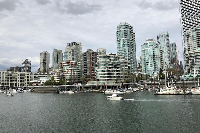 YVR Layover - Vancouver City Sightseeing Private Tour - Stanley Park Highlights: Seawall Energy, Beaches, and Photo Stops
